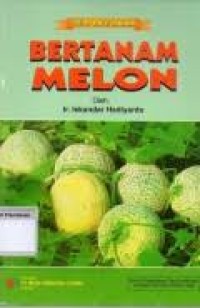 Image of Bertanam  Melon